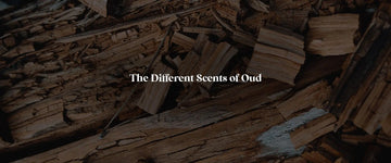 More Than Just Smoke & Leather: The 6 Different Scents of Oud Fragrances - RareScents