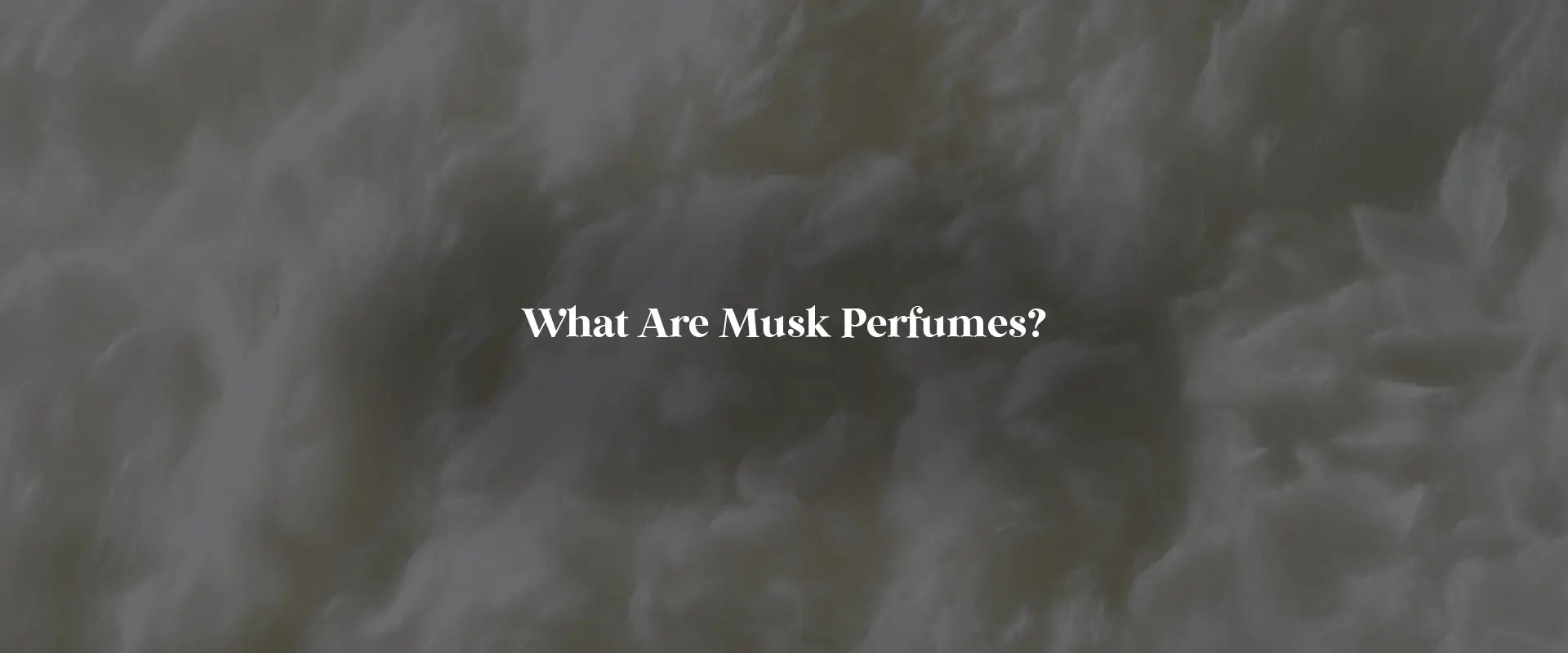 Musk Perfume Explained: Scent Profile, History, and Modern Middle Eastern Fragrances