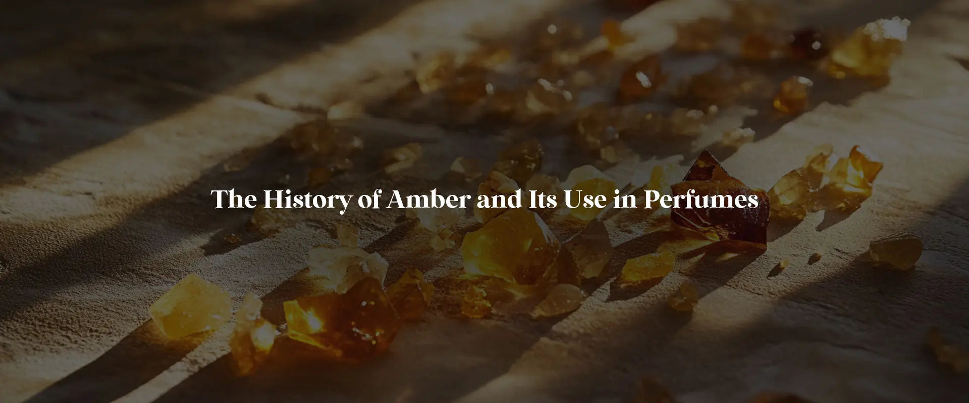 Since 1800s & Still Ruling Olfactory Senses! History of Amber and its Use in Perfumes